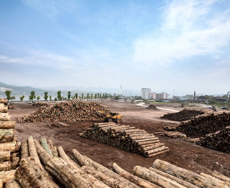 industri olahan kayu zichem indonesia