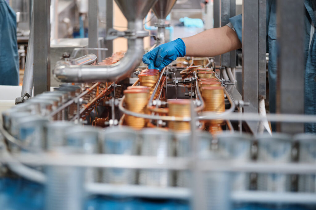 Automated conveyor of sardine fish in sauce, instant food produc
